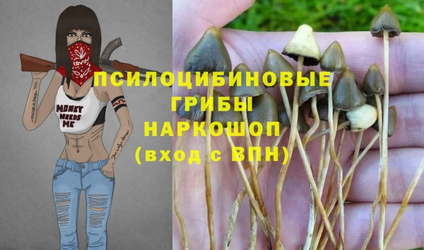 дмт Осташков