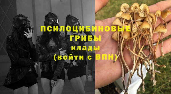 дмт Осташков