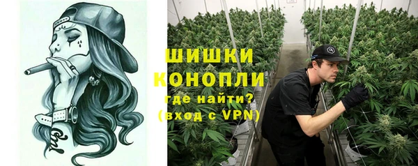 дмт Осташков