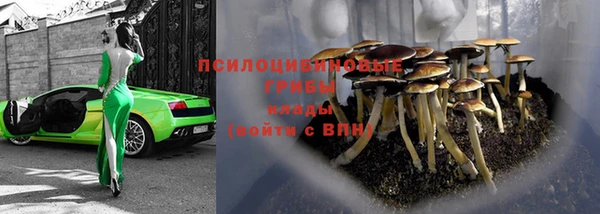 тгк Дубовка
