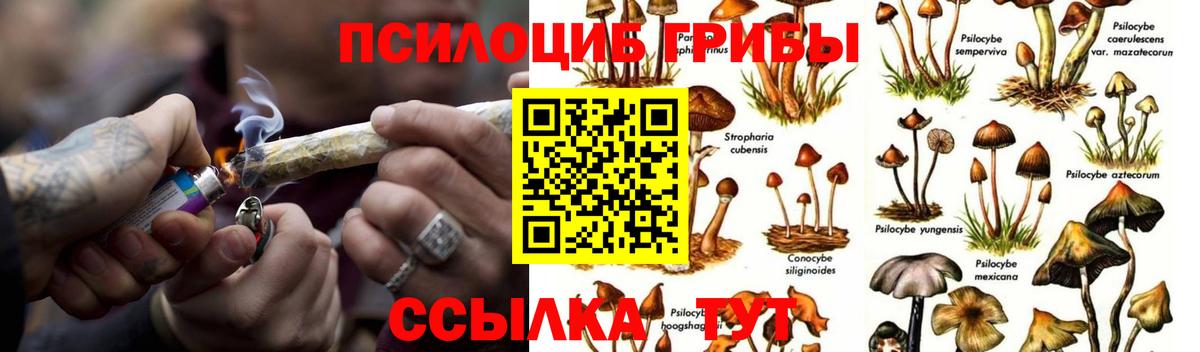 Галлюциногенные грибы MAGIC MUSHROOMS Сафоново