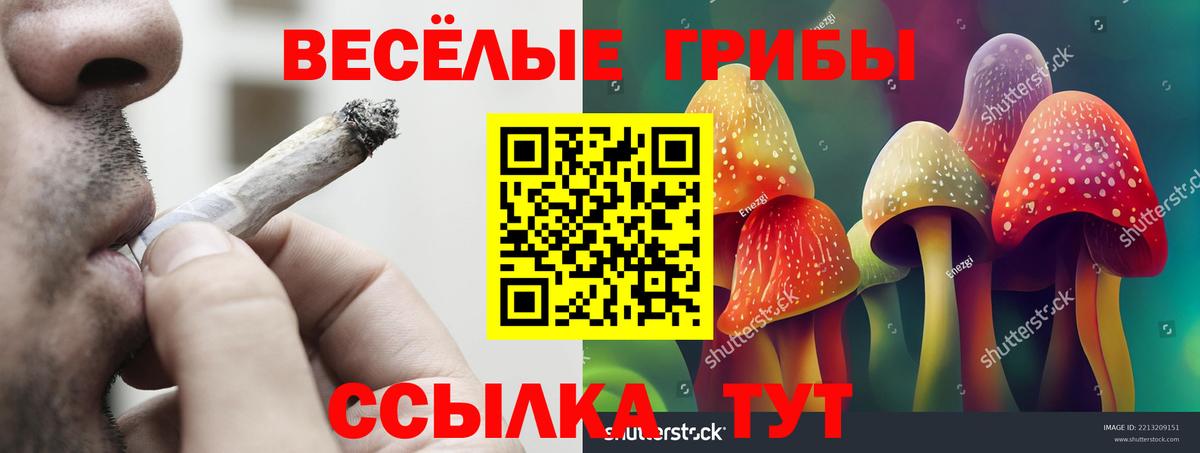 Псилоцибиновые грибы прущие грибы  Вход с VPN  Галлюциногенные грибы прущие грибы  Сафоново 